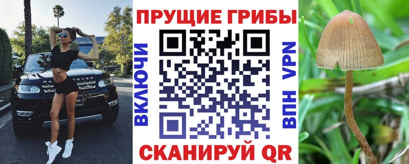 Купить  Красный Сулин  Галлюциногенные грибы Magic Shrooms 